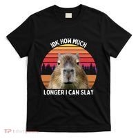 Idk How Much Longer I Can Slay Capybara Sarcastic Dank Meme Gifts T-Shirt thumb 0