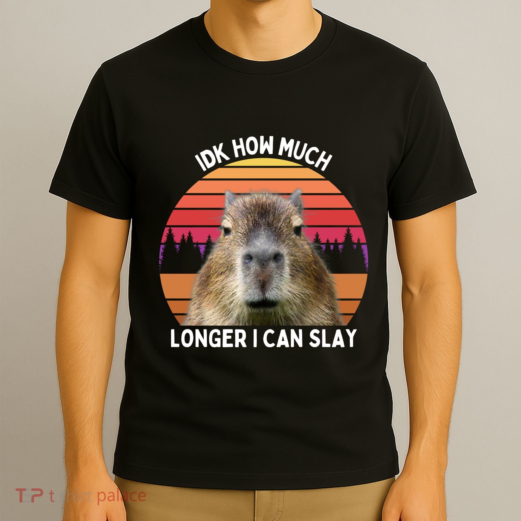 Idk How Much Longer I Can Slay Capybara Sarcastic Dank Meme Gifts T-Shirt
