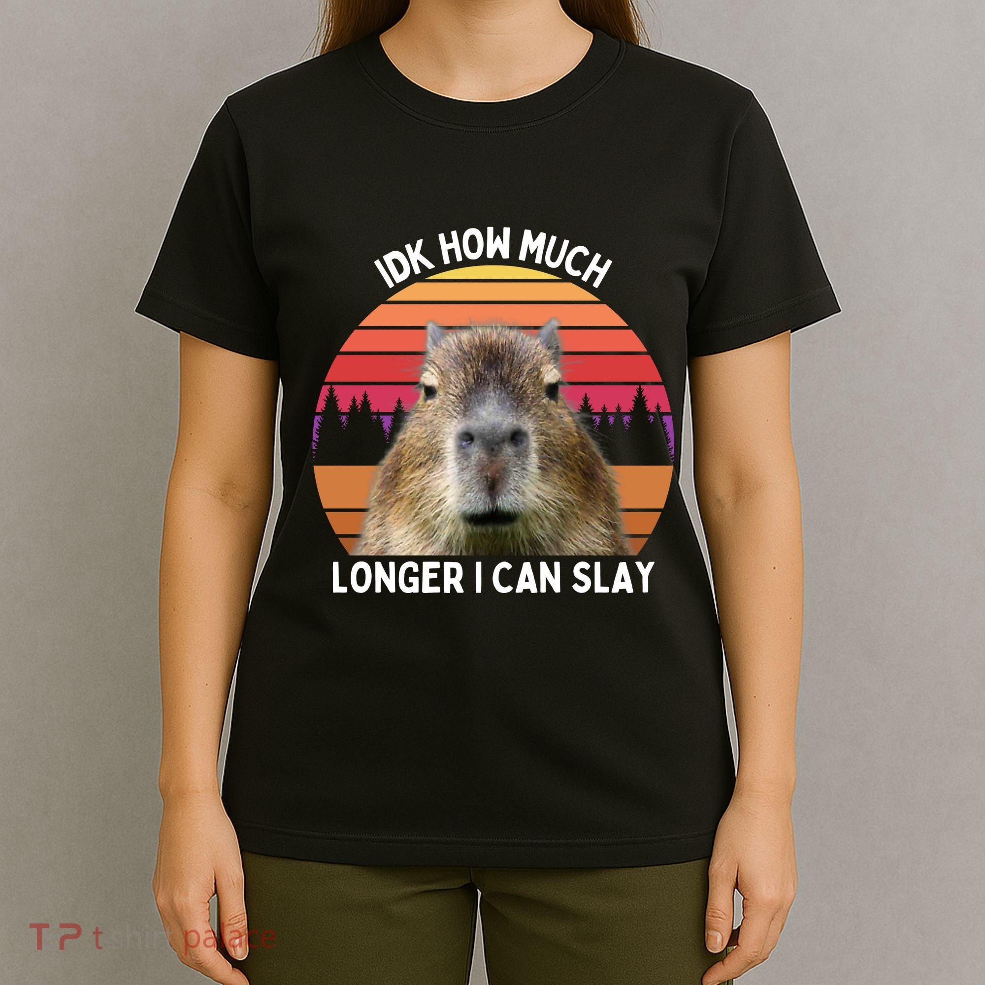Idk How Much Longer I Can Slay Capybara Sarcastic Dank Meme Gifts T-Shirt