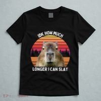 Idk How Much Longer I Can Slay Capybara Sarcastic Dank Meme Gifts T-Shirt thumb 5