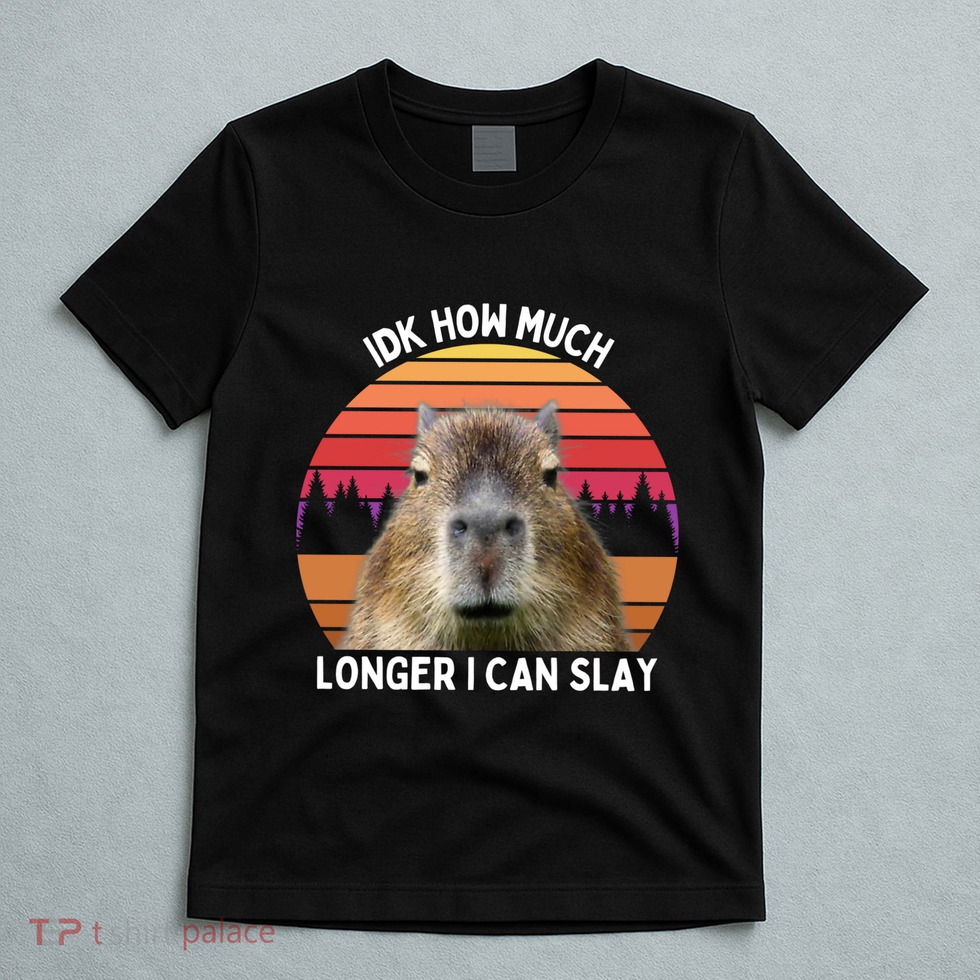 Idk How Much Longer I Can Slay Capybara Sarcastic Dank Meme Gifts T-Shirt
