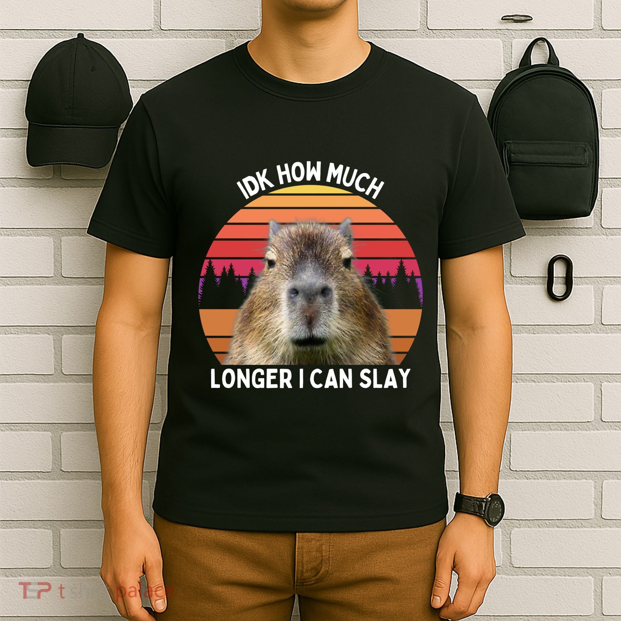 Idk How Much Longer I Can Slay Capybara Sarcastic Dank Meme Gifts T-Shirt