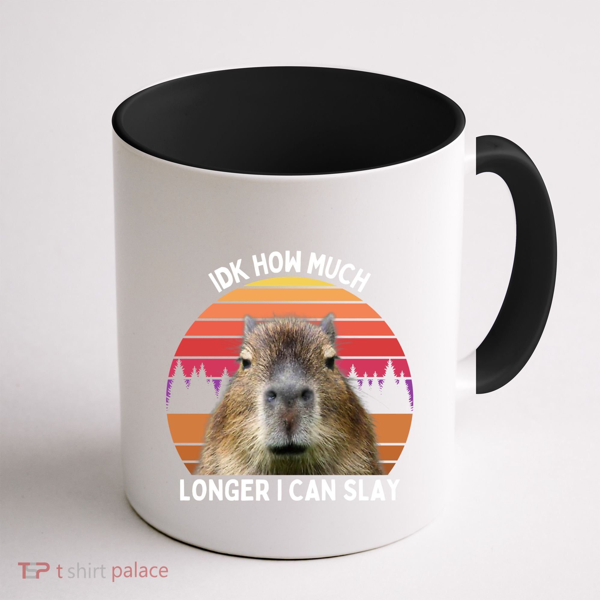 Idk How Much Longer I Can Slay Capybara Sarcastic Dank Meme Gifts Coffee Mug