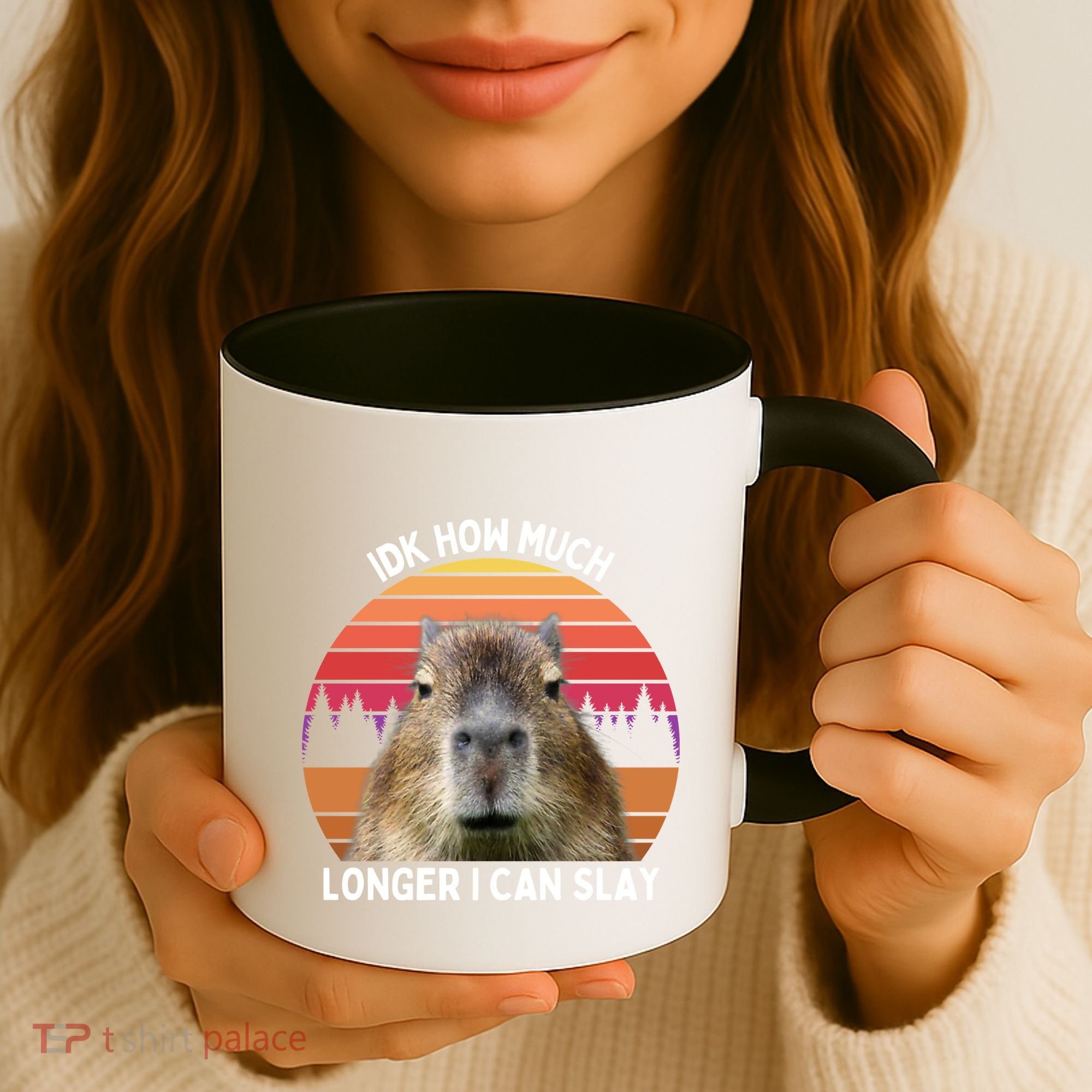 Idk How Much Longer I Can Slay Capybara Sarcastic Dank Meme Gifts Coffee Mug