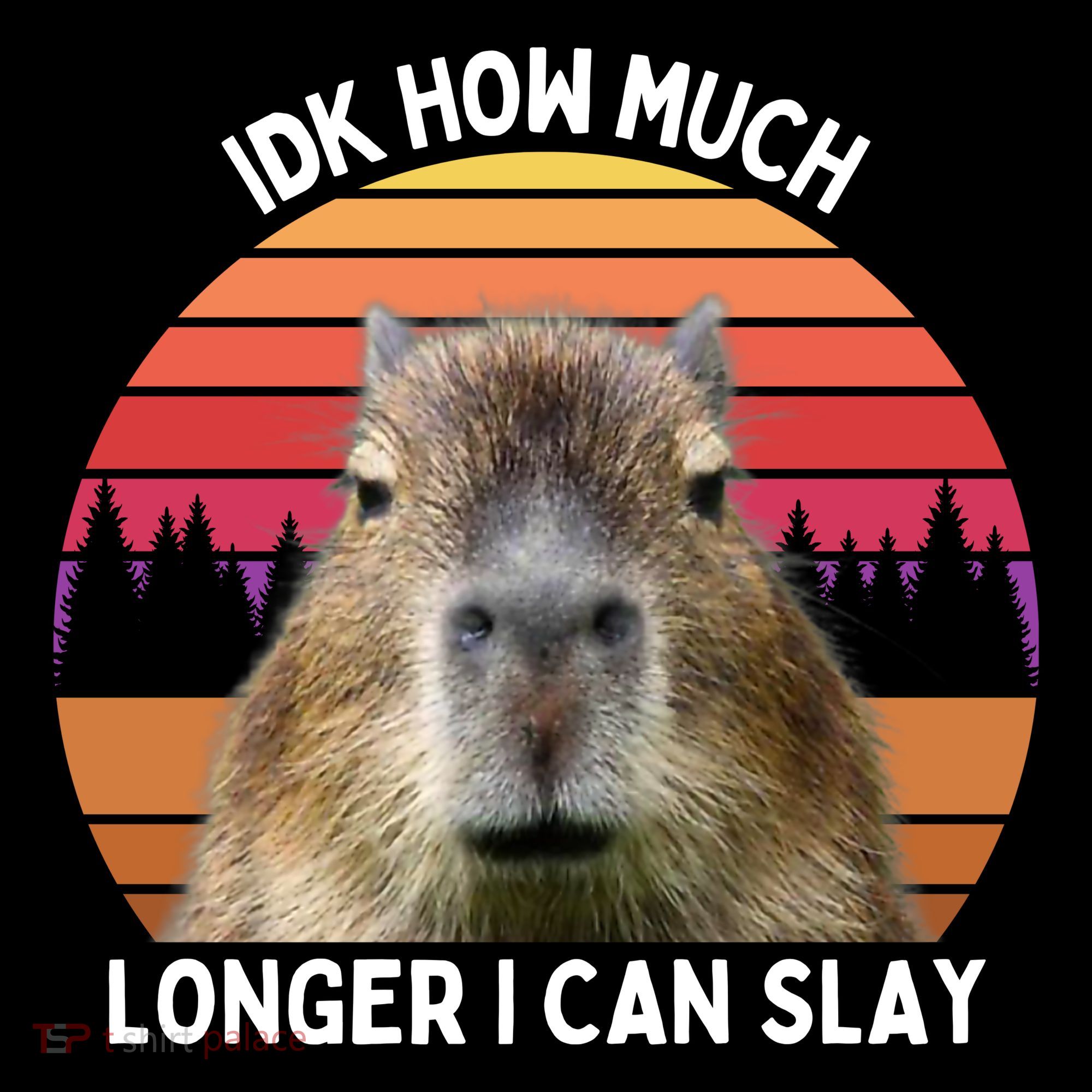 Idk How Much Longer I Can Slay Capybara Sarcastic Dank Meme Gifts Coffee Mug