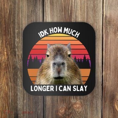 Idk How Much Longer I Can Slay Capybara Sarcastic Dank Meme Gifts Coaster