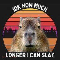Idk How Much Longer I Can Slay Capybara Sarcastic Dank Meme Gifts Women's Hoodie thumb 2