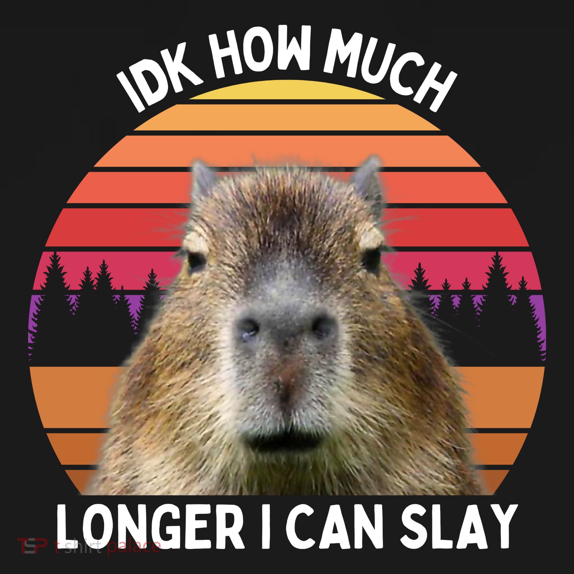 Idk How Much Longer I Can Slay Capybara Sarcastic Dank Meme Gifts Women's Hoodie