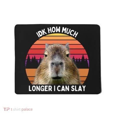 Idk How Much Longer I Can Slay Capybara Sarcastic Dank Meme Gifts Mousepad
