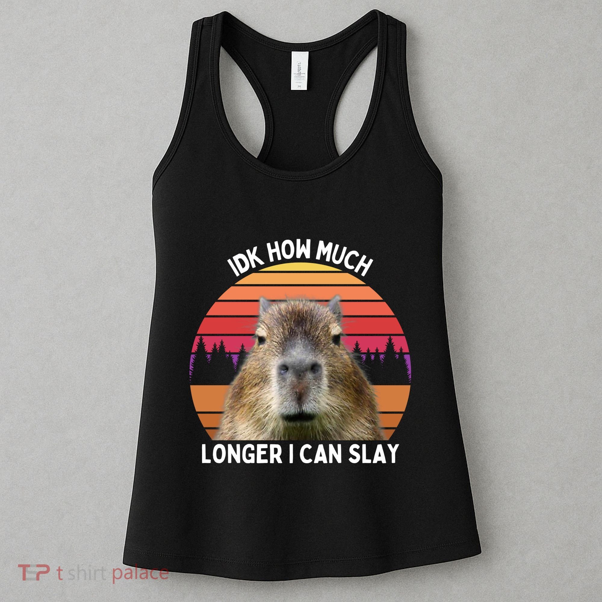 Idk How Much Longer I Can Slay Capybara Sarcastic Dank Meme Gifts Women's Tank Top