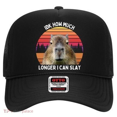 Idk How Much Longer I Can Slay Capybara Sarcastic Dank Meme Gifts Hat