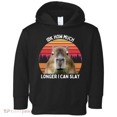 Idk How Much Longer I Can Slay Capybara Sarcastic Dank Meme Gifts Toddler Hoodie