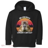 Idk How Much Longer I Can Slay Capybara Sarcastic Dank Meme Gifts Toddler Hoodie thumb 0