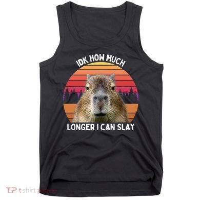 Idk How Much Longer I Can Slay Capybara Sarcastic Dank Meme Gifts Tank Top