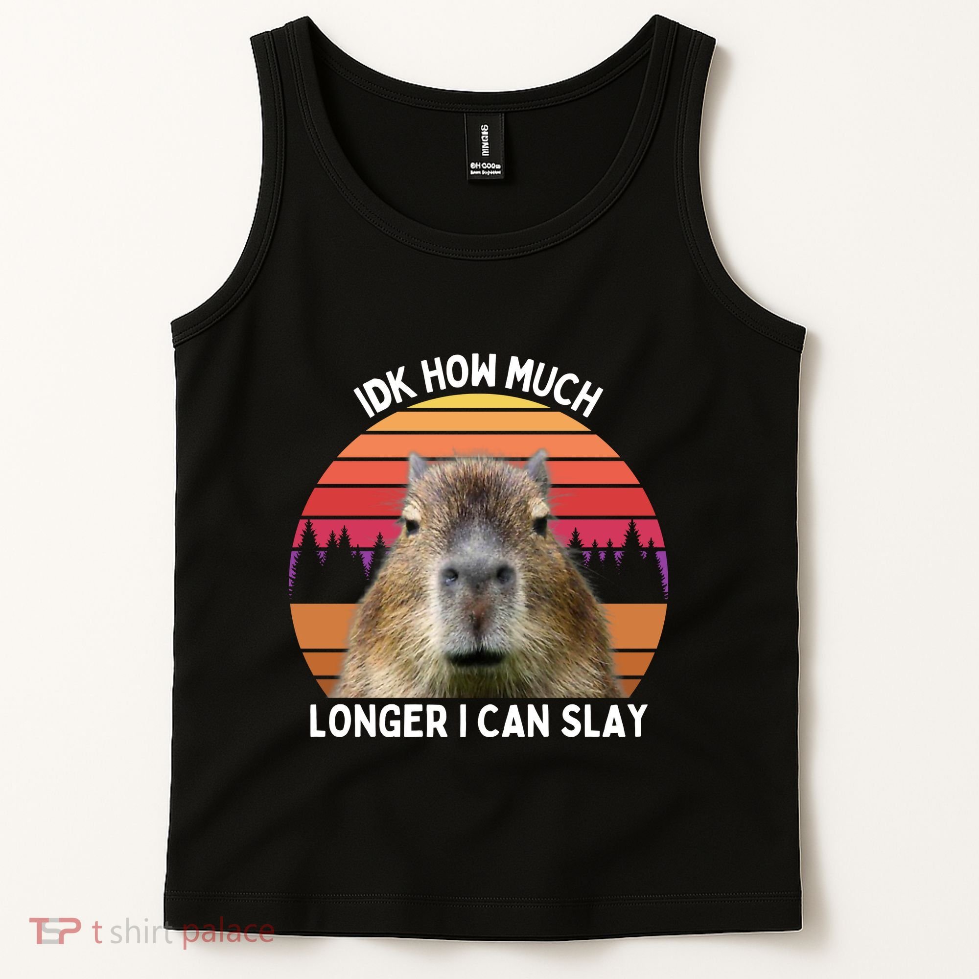 Idk How Much Longer I Can Slay Capybara Sarcastic Dank Meme Gifts Tank Top