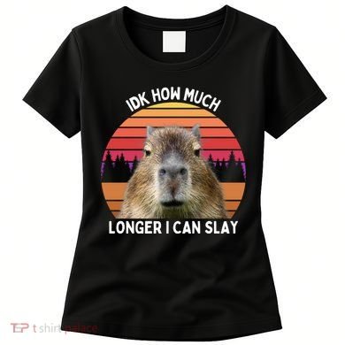 Idk How Much Longer I Can Slay Capybara Sarcastic Dank Meme Gifts Women's T-Shirt