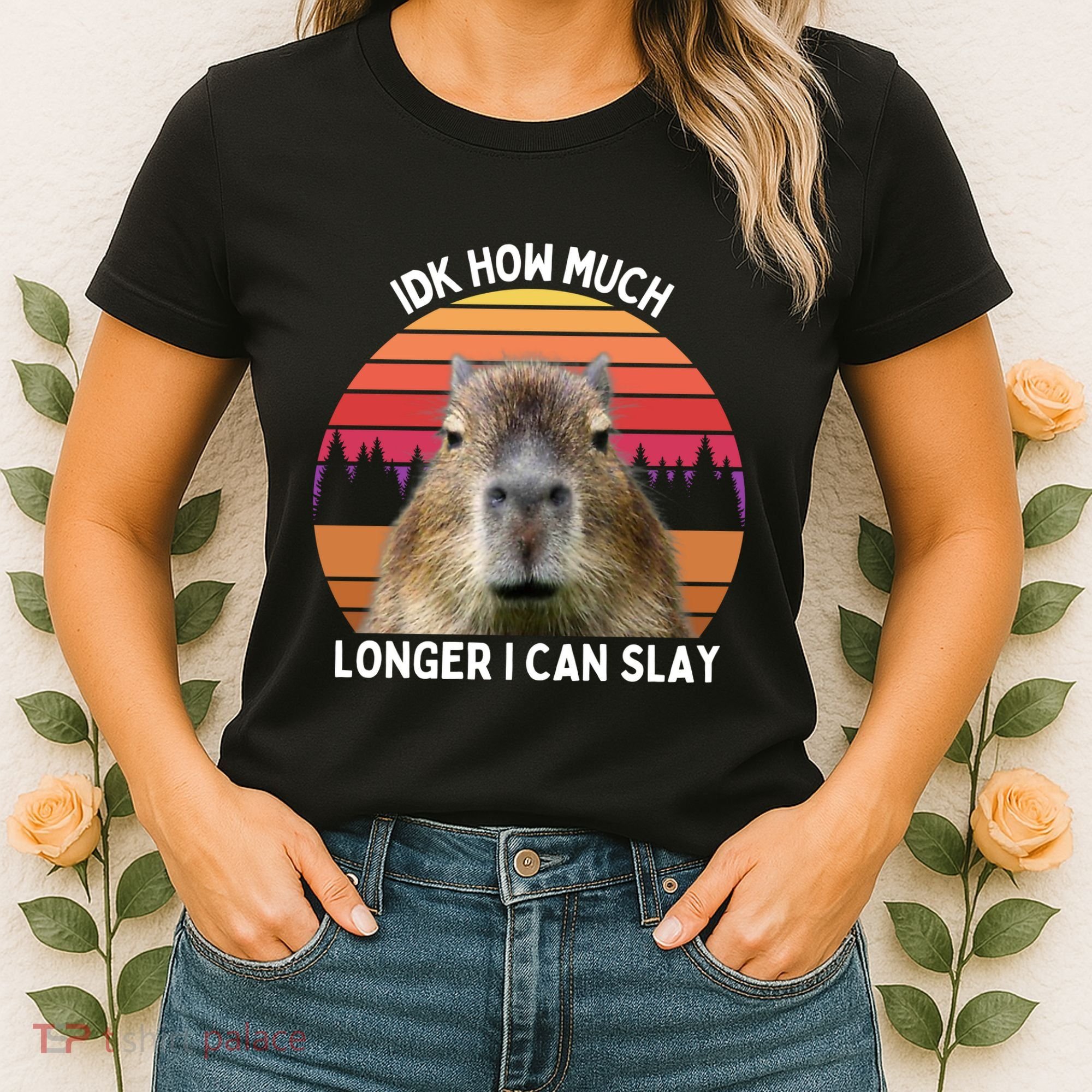 Idk How Much Longer I Can Slay Capybara Sarcastic Dank Meme Gifts Women's T-Shirt