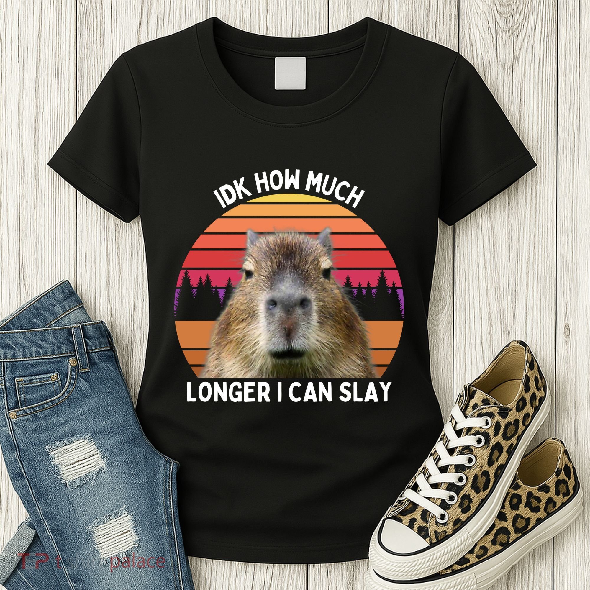 Idk How Much Longer I Can Slay Capybara Sarcastic Dank Meme Gifts Women's T-Shirt