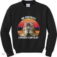 Idk How Much Longer I Can Slay Capybara Sarcastic Dank Meme Gifts Kids Sweatshirt thumb 0
