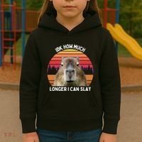 Idk How Much Longer I Can Slay Capybara Sarcastic Dank Meme Gifts Kids Hoodie thumb 3