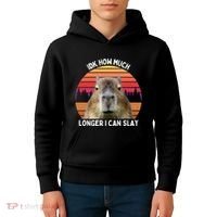 Idk How Much Longer I Can Slay Capybara Sarcastic Dank Meme Gifts Kids Hoodie thumb 4