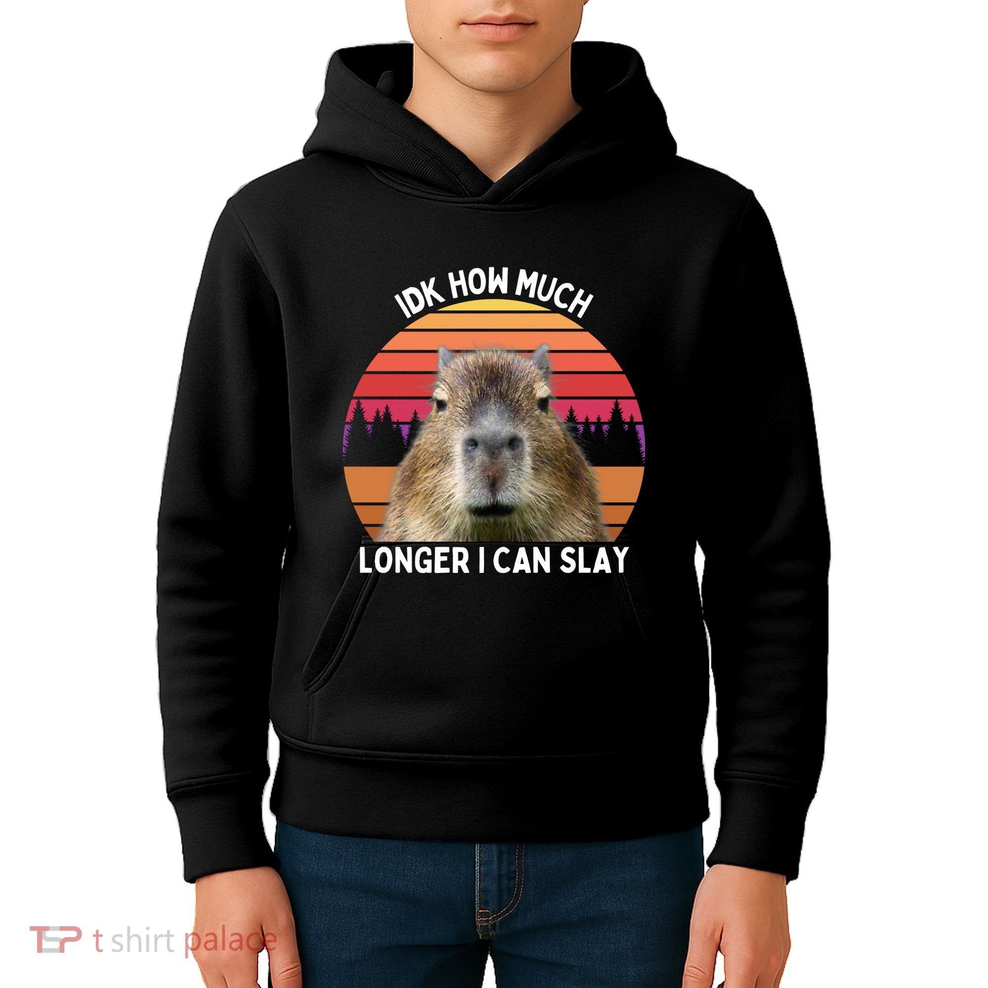 Idk How Much Longer I Can Slay Capybara Sarcastic Dank Meme Gifts Kids Hoodie