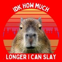 Idk How Much Longer I Can Slay Capybara Sarcastic Dank Meme Gifts Santa Hat thumb 1