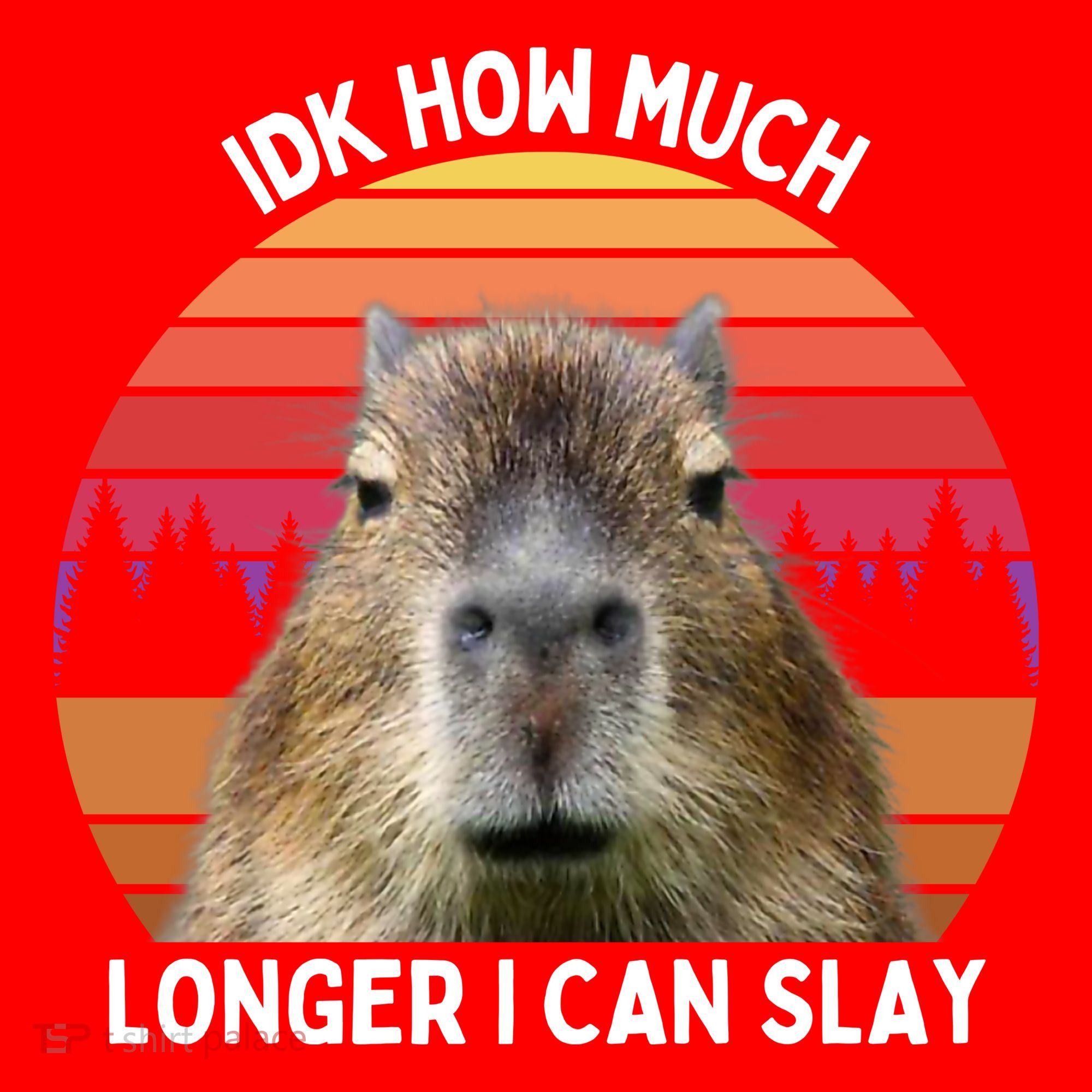 Idk How Much Longer I Can Slay Capybara Sarcastic Dank Meme Gifts Santa Hat