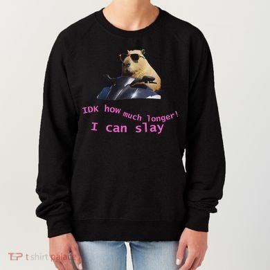 Idk How Much Longer I Can Slay Capybara Sarcastic Dank Meme Women's Sweatshirt
