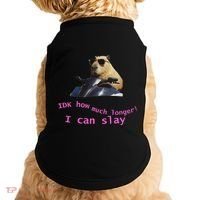 Idk How Much Longer I Can Slay Capybara Sarcastic Dank Meme Doggie Tank thumb 0