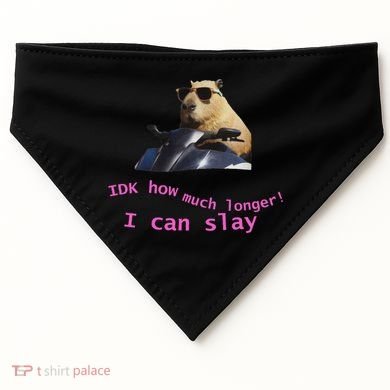Idk How Much Longer I Can Slay Capybara Sarcastic Dank Meme USA-Made Doggie Bandana