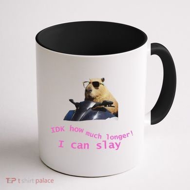 Idk How Much Longer I Can Slay Capybara Sarcastic Dank Meme Coffee Mug back