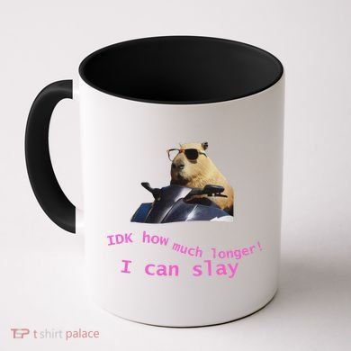 Idk How Much Longer I Can Slay Capybara Sarcastic Dank Meme Coffee Mug