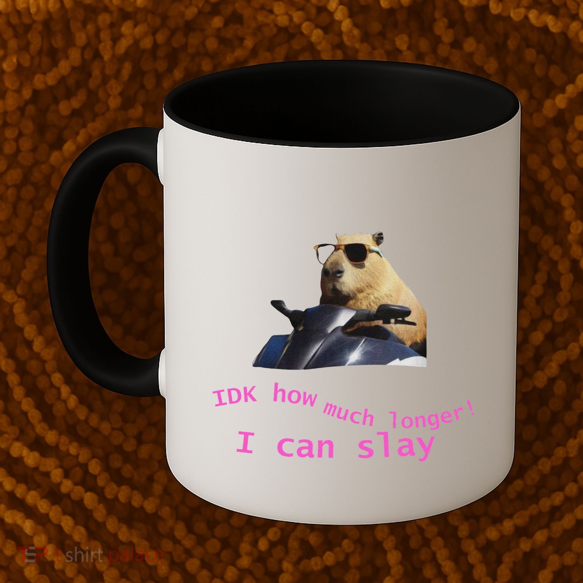 Idk How Much Longer I Can Slay Capybara Sarcastic Dank Meme Coffee Mug