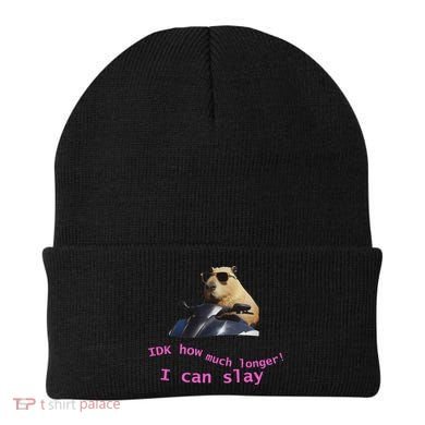 Idk How Much Longer I Can Slay Capybara Sarcastic Dank Meme Beanie