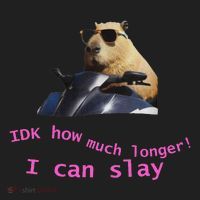 Idk How Much Longer I Can Slay Capybara Sarcastic Dank Meme Beanie thumb 2