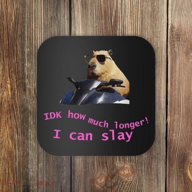 Idk How Much Longer I Can Slay Capybara Sarcastic Dank Meme Coaster
