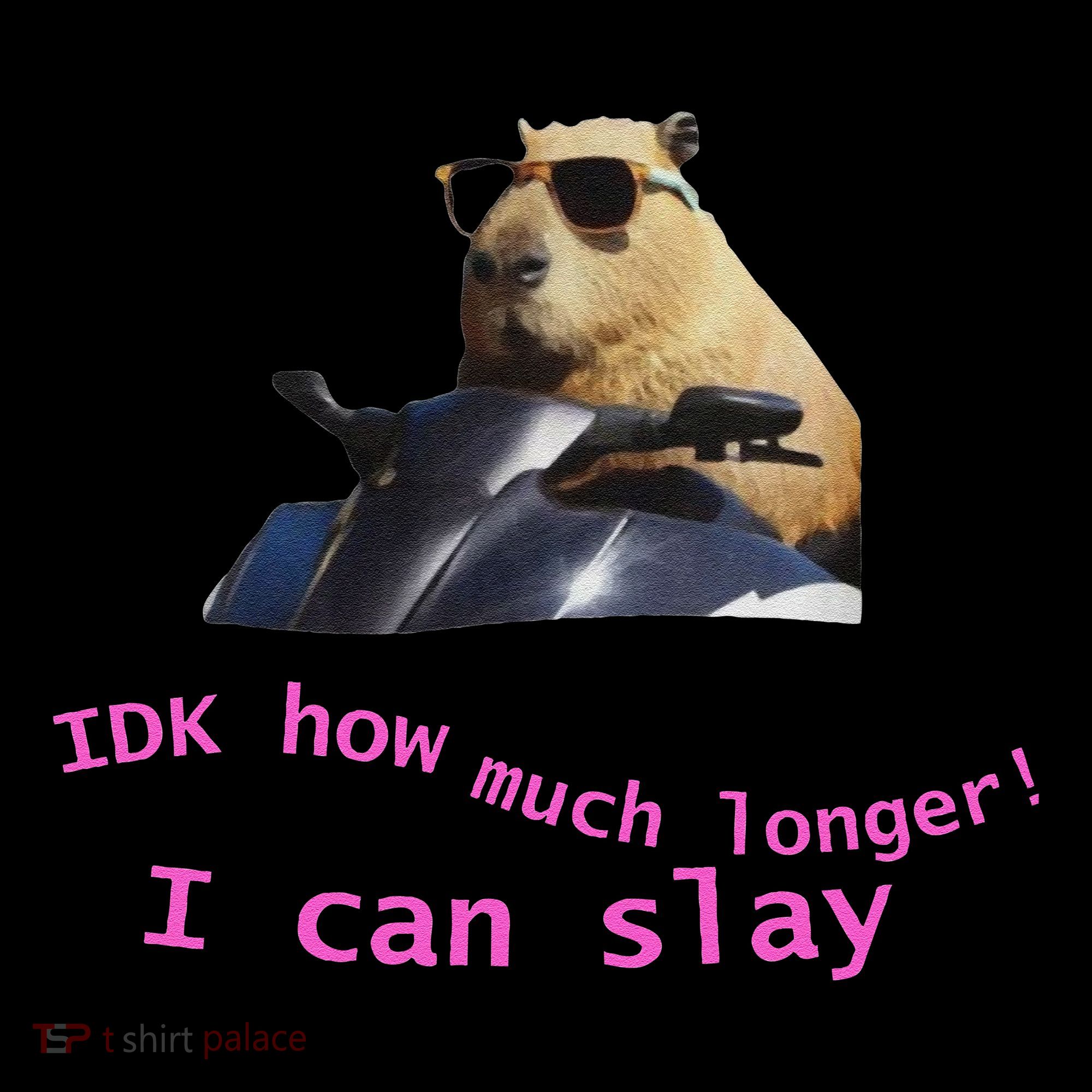 Idk How Much Longer I Can Slay Capybara Sarcastic Dank Meme Women's Hoodie