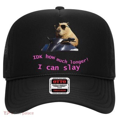 Idk How Much Longer I Can Slay Capybara Sarcastic Dank Meme Hat