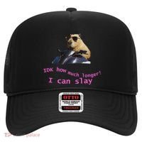 Idk How Much Longer I Can Slay Capybara Sarcastic Dank Meme Hat thumb 0