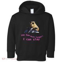 Idk How Much Longer I Can Slay Capybara Sarcastic Dank Meme Toddler Hoodie thumb 0