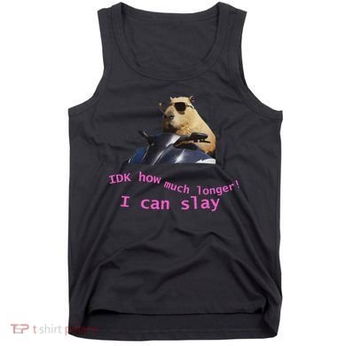 Idk How Much Longer I Can Slay Capybara Sarcastic Dank Meme Tank Top