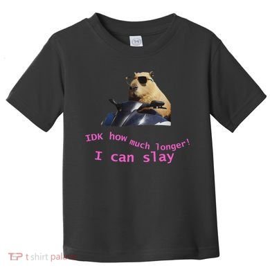 Idk How Much Longer I Can Slay Capybara Sarcastic Dank Meme Toddler T-Shirt