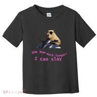 Idk How Much Longer I Can Slay Capybara Sarcastic Dank Meme Toddler T-Shirt thumb 0