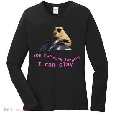 Idk How Much Longer I Can Slay Capybara Sarcastic Dank Meme Women's Long Sleeve Shirt