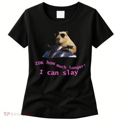 Idk How Much Longer I Can Slay Capybara Sarcastic Dank Meme Women's T-Shirt