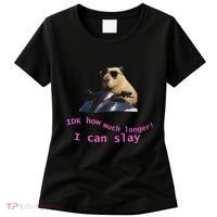 Idk How Much Longer I Can Slay Capybara Sarcastic Dank Meme Women's T-Shirt thumb 0