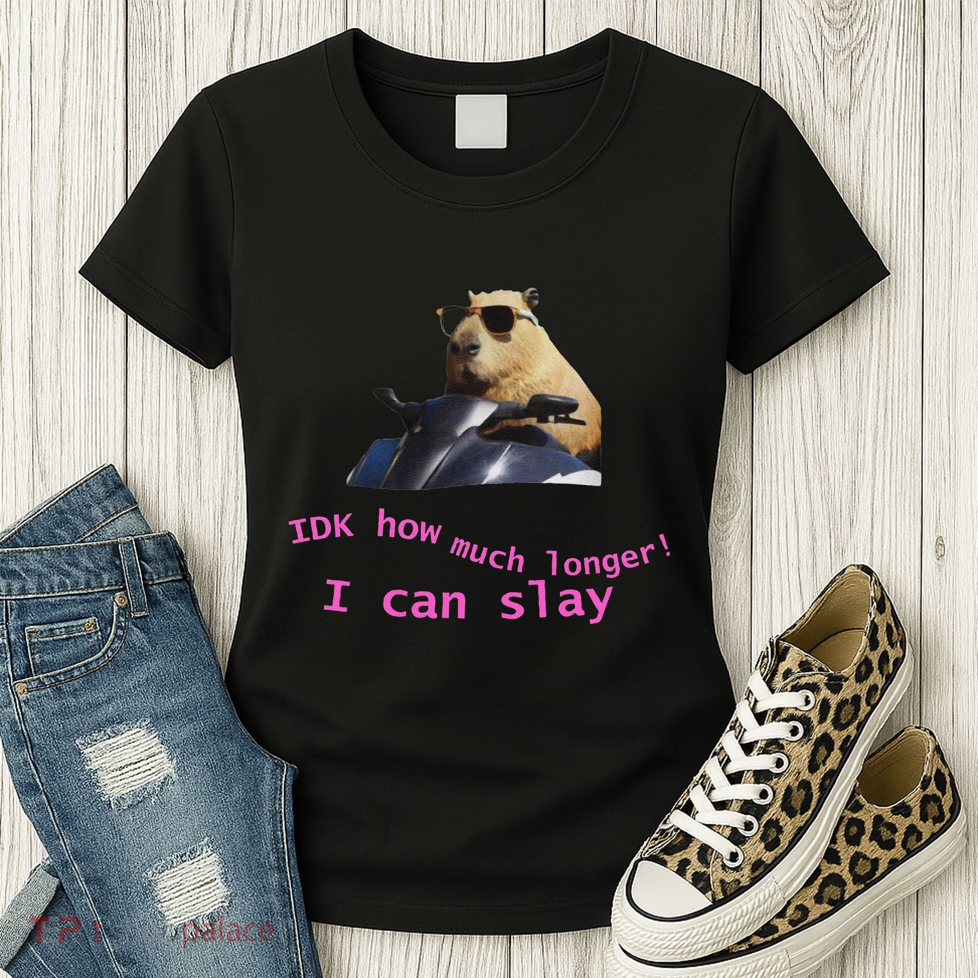 Idk How Much Longer I Can Slay Capybara Sarcastic Dank Meme Women's T-Shirt