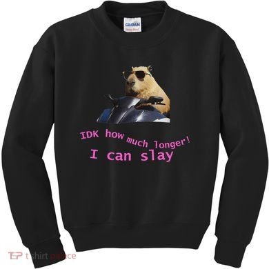 Idk How Much Longer I Can Slay Capybara Sarcastic Dank Meme Kids Sweatshirt