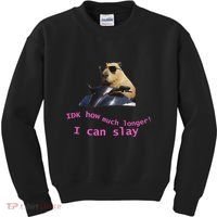 Idk How Much Longer I Can Slay Capybara Sarcastic Dank Meme Kids Sweatshirt thumb 0